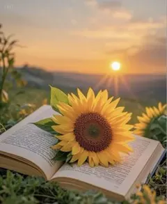 ひろぽん様専用