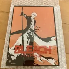 BLEACH【アクリルパネル】
