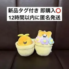 お文具といっしょ 観葉植物 マスコットキーチェーン ゼリーさん 子猫さん