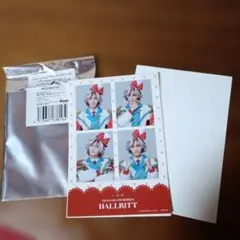 HALLRITT フォトカード 6枚セット