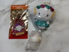 こぎみゅんセット