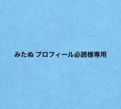 2026年最新】プロフ必読様専用の人気アイテム - メルカリ