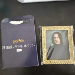 ハリー・ポッター肖像画マグネットコレクション スネイプのサムネイル