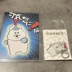 んぽちゃむ　可哀想に！展　セット