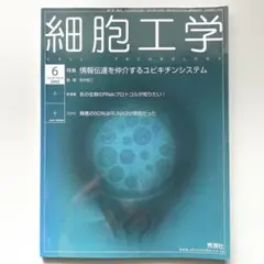 Item thumbnail for item e57d77b6-7584-402f-9726-31b113ee0286