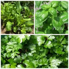 けいちゃん様 リクエスト 2点 まとめ商品