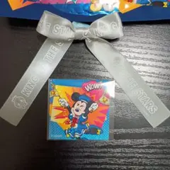 ディズニー　パルパルーザ　ドナパル　クッキー　ステッカー　リボン　ゴム付き