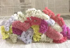 noriさま専用★同梱