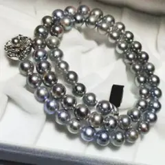 Item thumbnail for item d60110a8-cfaf-45b5-b27a-36c6d6c3cd2c