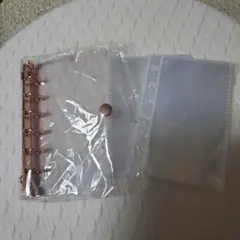 Item thumbnail for item affddb02-d072-4d5f-a430-3e955bbc321a