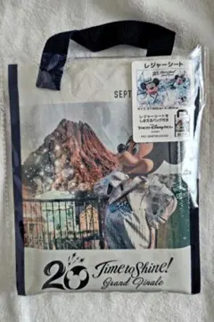 レジャーシート タイムトゥシャイン 新品