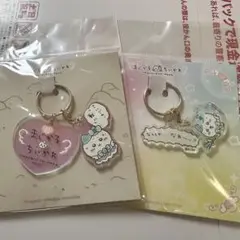 ちいかわ まじかるちいかわ ハチワレ アクキー アクリルチャーム