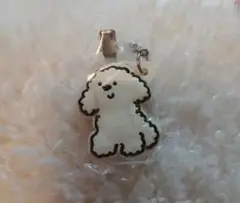 さよなら鍵迷子トイプードル