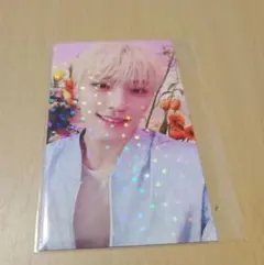 SEVENTEEN ALWAYS YOURS ユニバ特典トレカ　ディノ