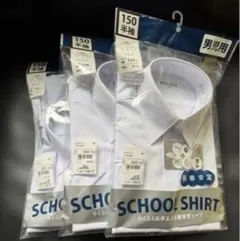 Item thumbnail for item b44fd5e0-fd1e-40d4-ad28-9a3e1e48178d