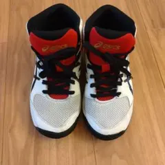 asics バスケットボールシューズ 21.0センチ