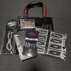 straykids スキズ アプグレFC 特典 ミラー ストラップ