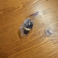 チェンソーマン めじるしアクセサリー2 早川アキ