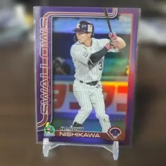 Item thumbnail for item 8c718cd0-9bed-42dd-8e06-2df68af93a25