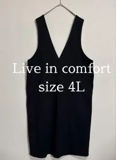 Live in comfort size 4L Vネックジャンパースカート