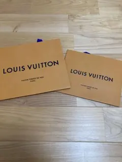 LOUIS VUITTON ショップ袋 中小型　2枚セット