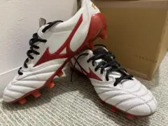数回使用モレリア2ジャパン　FRONTIER PACK 25.0 数回使用モレリア2ジャパン FRONTIER PACK 25.0 - メルカリ