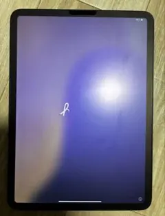 iPad Pro 11インチ 第2世代 Wi-Fiモデル スペースグレイ 256