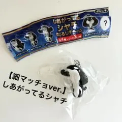 【細マッチョ】しあがってるシャチ　めじるしチャーム　須磨シーワルド　岩本照