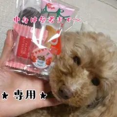 ☆よっすぅぃ～様専用☆