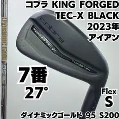 新品 コブラ Tec X Black アイアン 6本セット ダイナミックゴールド COBRA（ゴルフ） コブラ KING Forged Tec X Black Irons