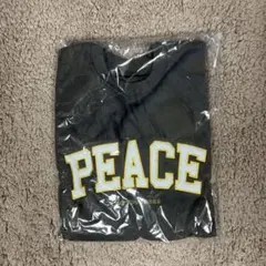 LOVE YOU 2023 PEACE ツアートレーナー キンプリ　美品未開封のサムネイル