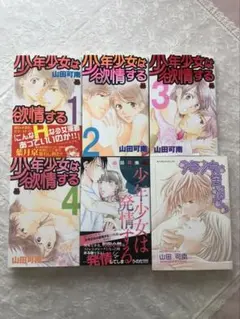 ★ご購入前にご連絡要★「少年少女は欲情する 全4巻」&他2冊 山田可南