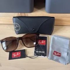 Ray-Ban ERIKA CLASSIC サングラス