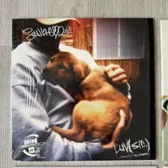 Nujabes Shing02 Luv(sic) アナログレコードのサムネイル