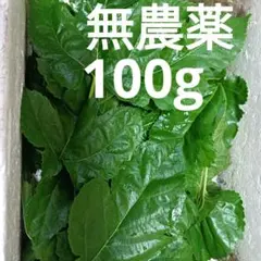 無農薬 桑の葉 100gのサムネイル