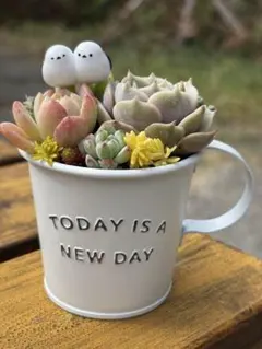 まみい様 リクエスト 2点 まとめ商品