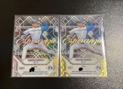 Item thumbnail for item b53f02ac-af2e-4226-8a42-49117c7a55fa