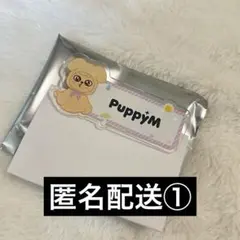 Straykids スキズ スンミン パピーム ランダムネームバッチ①