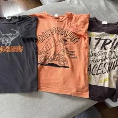 恐竜デザインTシャツ3枚セット