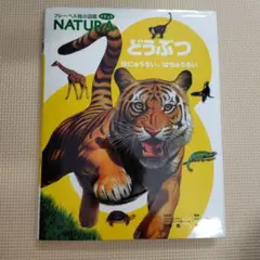 Item thumbnail for item 8eb7c119-b0b0-470c-861a-a6c3ea68885d