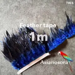 Item thumbnail for item 229395b0-3883-4547-9c3f-df9fe0f5411b