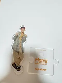 向井康二 アクスタ