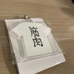 ハイキュー　日向翔陽　Tシャツキーホルダー