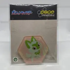 【新品未使用】ポケットモンスター ハニカムアクリルマグネット ニャオハ