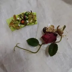 Item thumbnail for item 56febca7-57bc-437c-bbf5-53448dc7ec8b