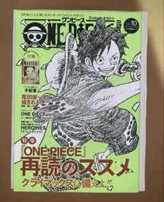 ONE PIECE magazine Vol.10