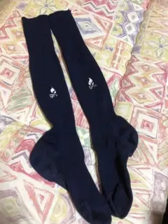 Item thumbnail for item 78354ab1-e37e-4185-b48c-cb6eb87ae8ba