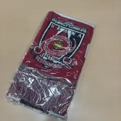 新品激レア浦和レッズ記念ニットマフラー