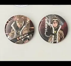 僕のヒーローアカデミア　ヒロアカ　ヒーロープラザ　ヒロプラ　缶バッジ　ホークス