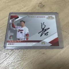 Item thumbnail for item ce076d7f-89cb-4771-b977-0381d48147f7